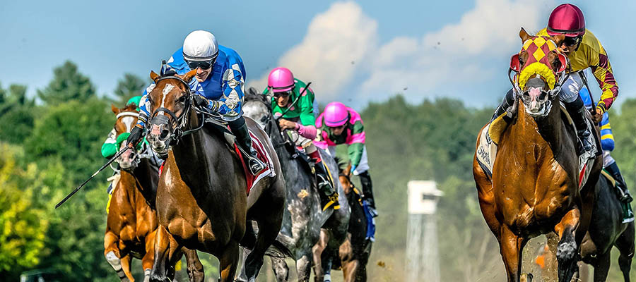 Top 2021 Stakes Races to Wager On Sep. 4th – Horse Racing Betting